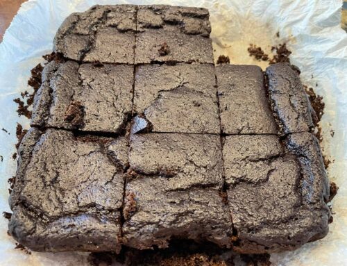 Boo’s Ridiculous Brownies Recipe – Low Carb Brownies
